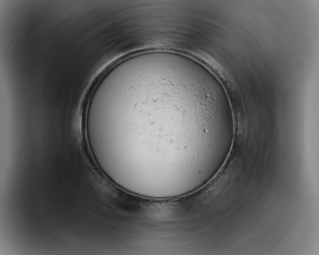 X0000093511078200710121527