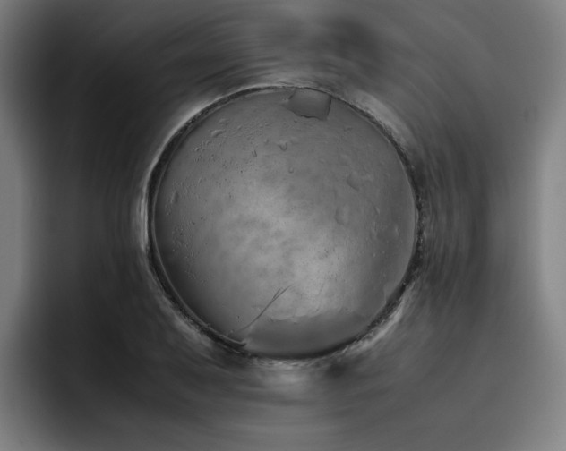 X0000093511079200710121527