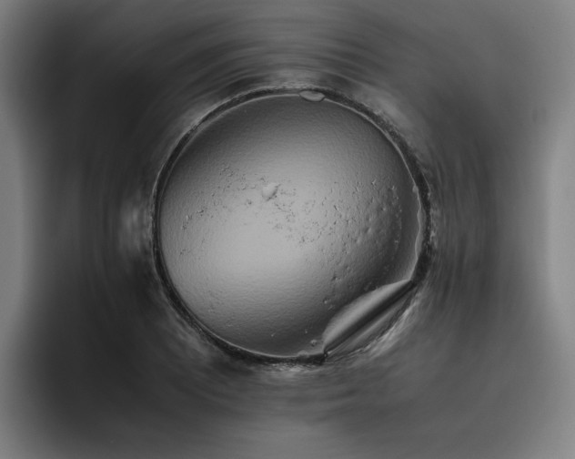 X0000093511081200710121527