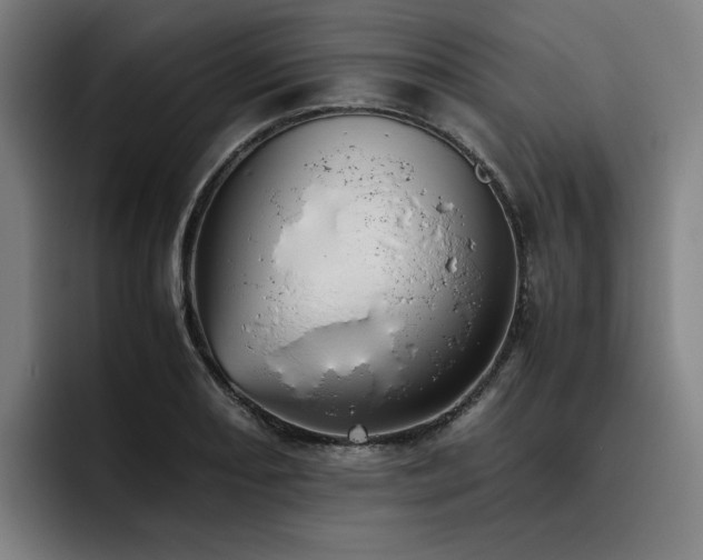 X0000093511082200710121527
