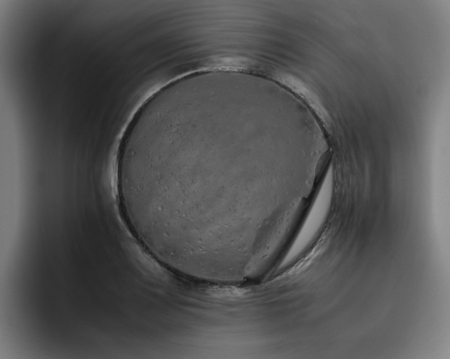 X0000093511083200710121527