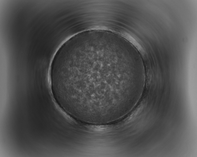 X0000093511084200710121527