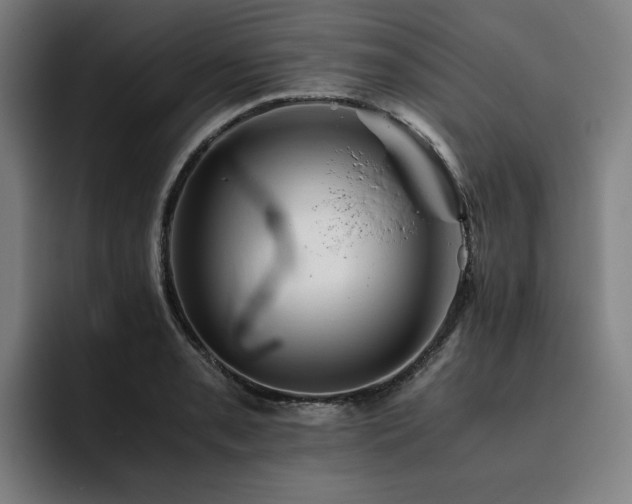 X0000093511085200710121527