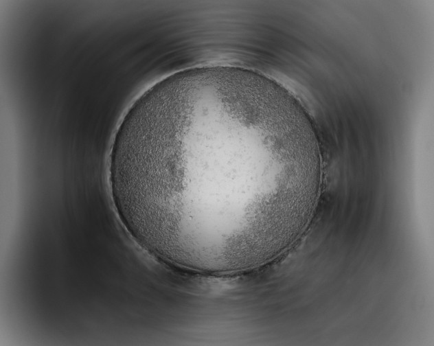 X0000093511086200710121527