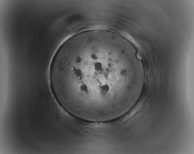 X0000093511087200710121527