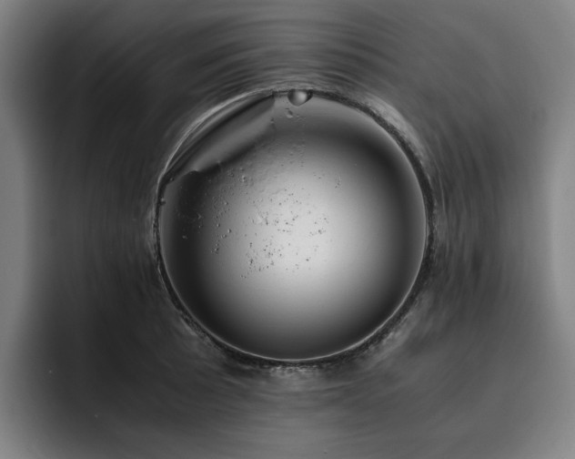 X0000093511089200710121527