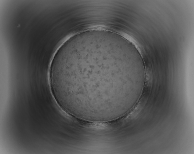 X0000093511090200710121527