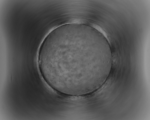 X0000093511091200710121527