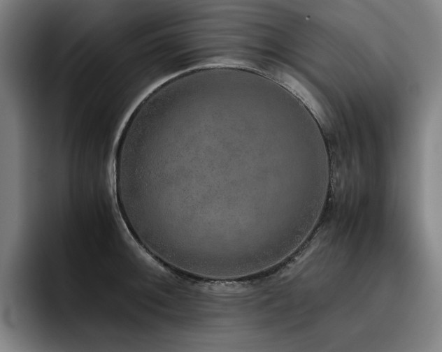 X0000093511092200710121527