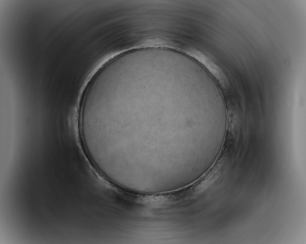 X0000093511094200710121527