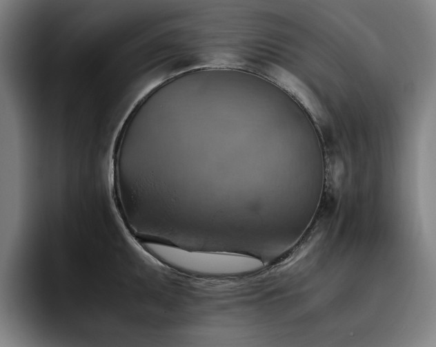 X0000093511095200710121527