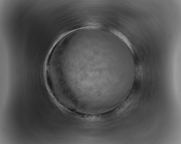 X0000093511099200710121527