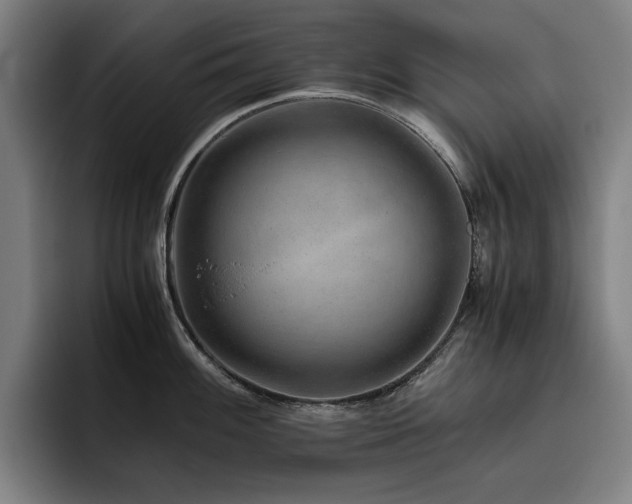 X0000093511100200710121527