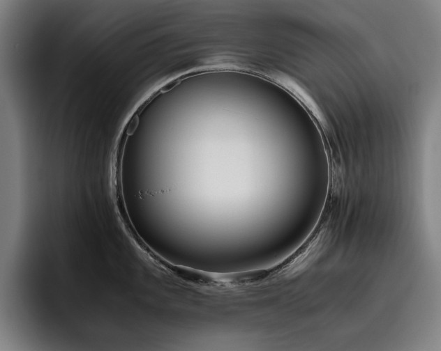 X0000093511101200710121527