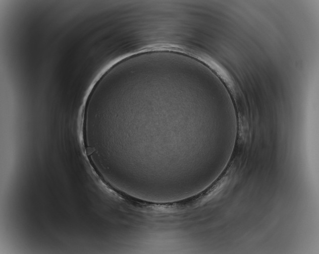 X0000093511102200710121527