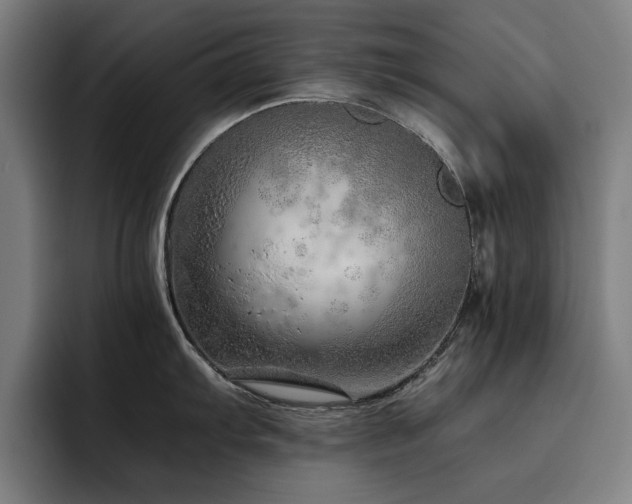 X0000093511103200710121527