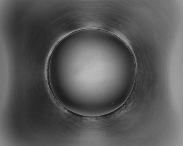 X0000093511104200710121527
