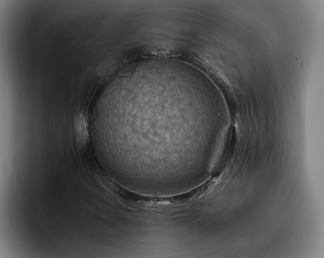 X0000093511106200710121526