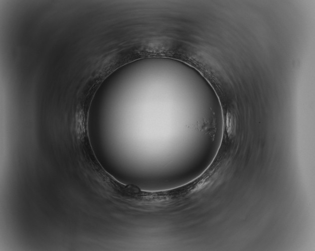 X0000093511107200710121526