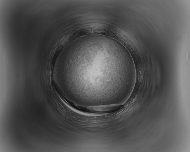 X0000093511108200710121526