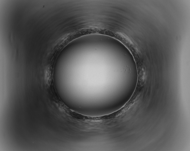 X0000093511110200710121526