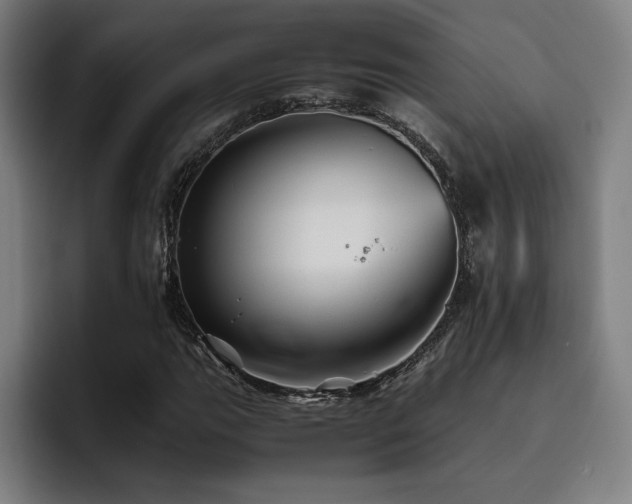 X0000093511111200710121526