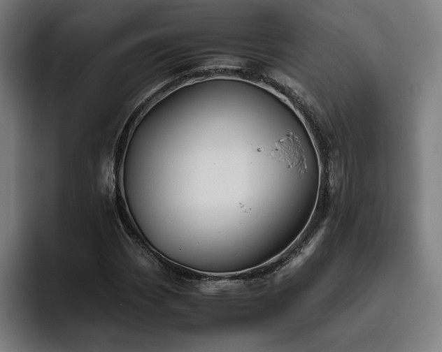 X0000093511113200710121526