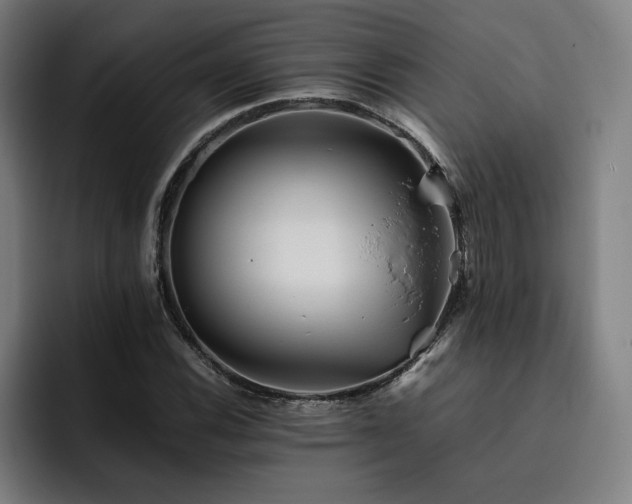 X0000093511116200710121526