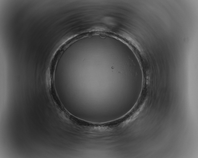 X0000093511117200710121526