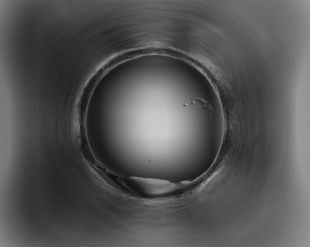 X0000093511118200710121526