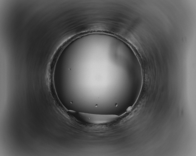X0000093511119200710121526