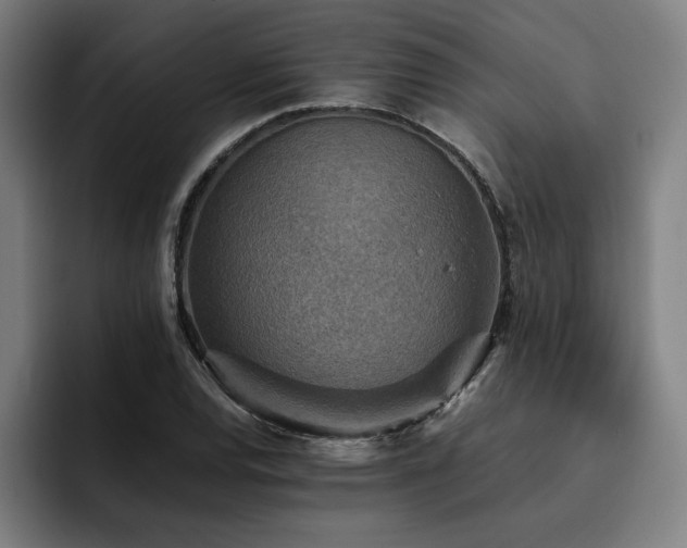 X0000093511120200710121526