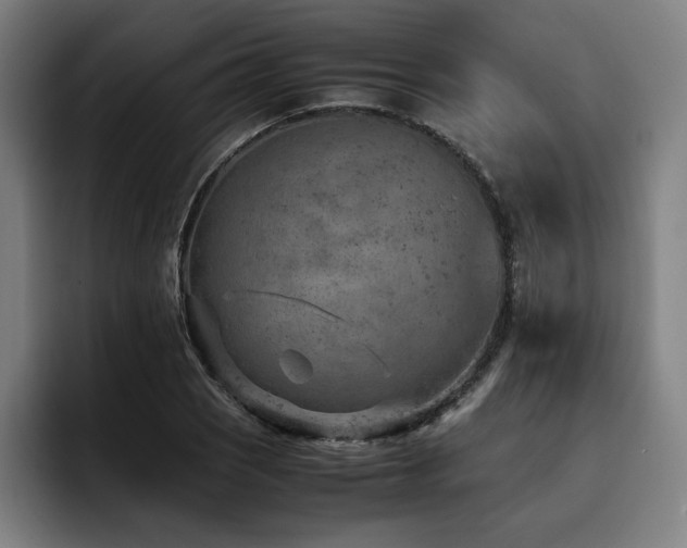 X0000093511121200710121526