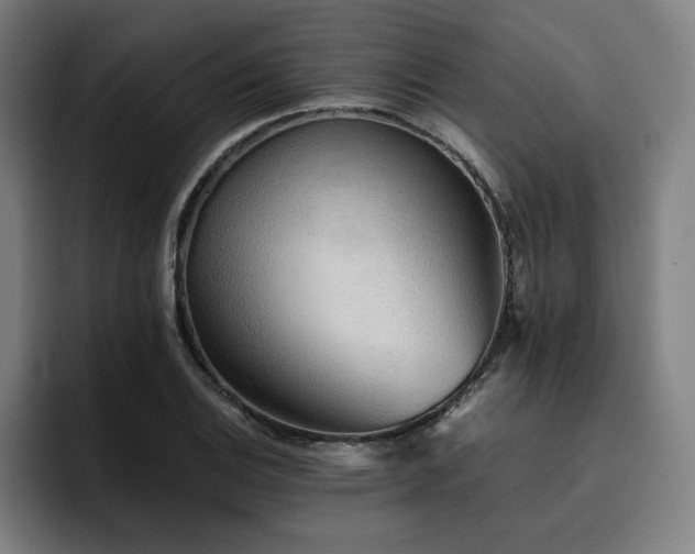 X0000093511124200710121527