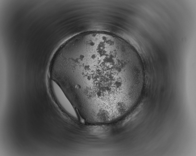 X0000093511125200710121527