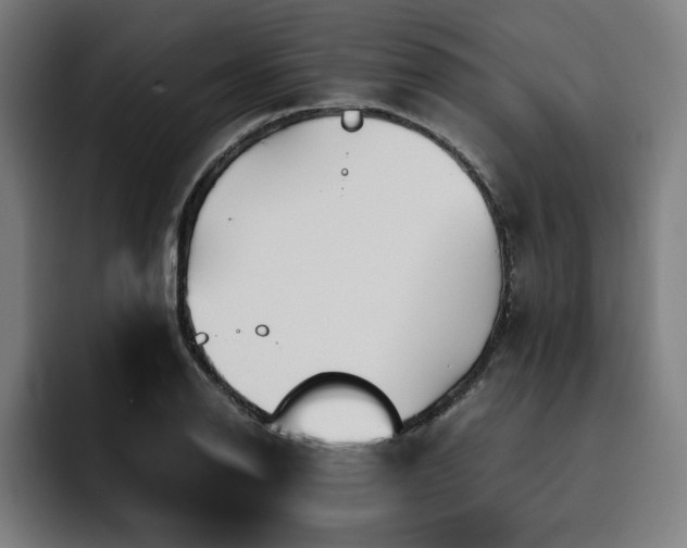 X0000093511126200710121527