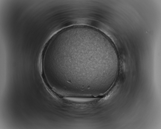 X0000093511127200710121527