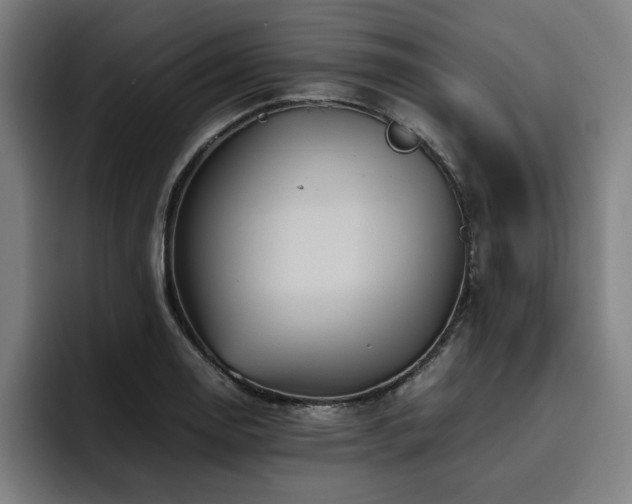 X0000093511130200710121527