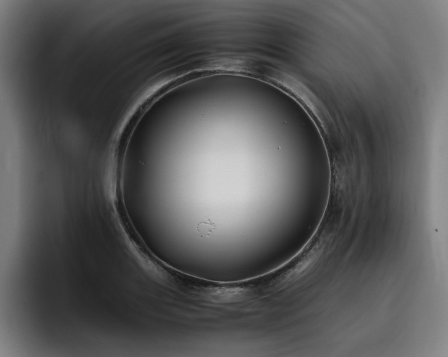 X0000093511131200710121527