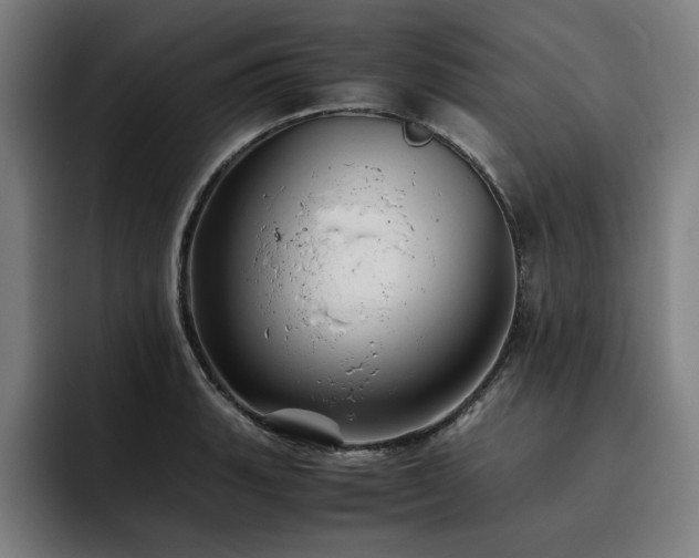 X0000093511135200710121527