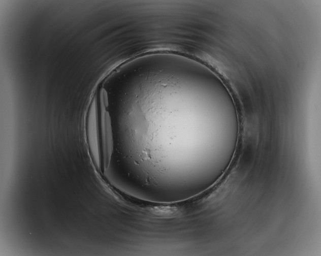 X0000093511137200710121527