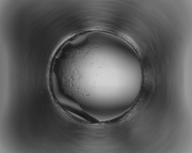 X0000093511138200710121527