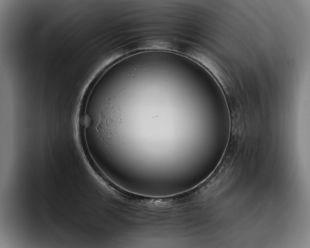 X0000093511139200710121527
