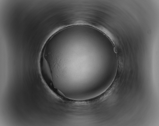 X0000093511142200710121527