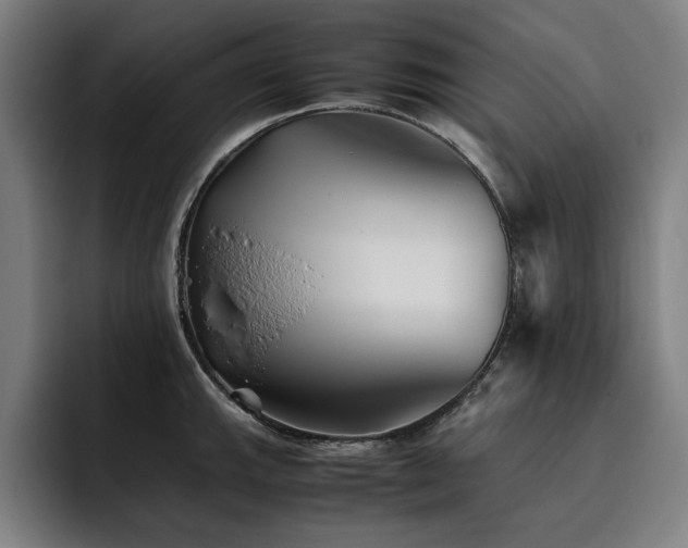 X0000093511143200710121527