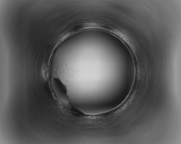 X0000093511145200710121527