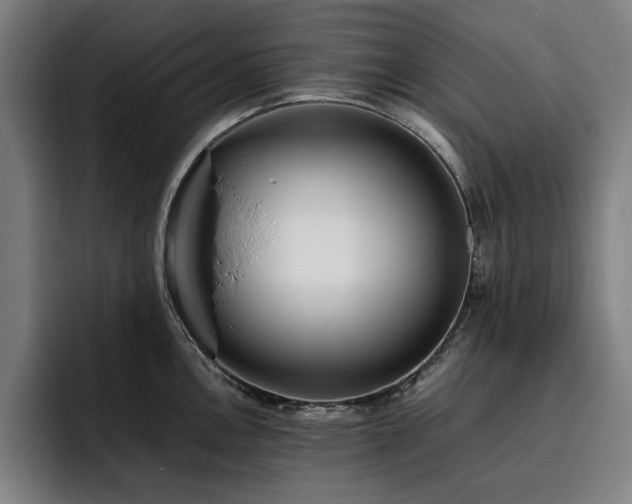X0000093511146200710121527