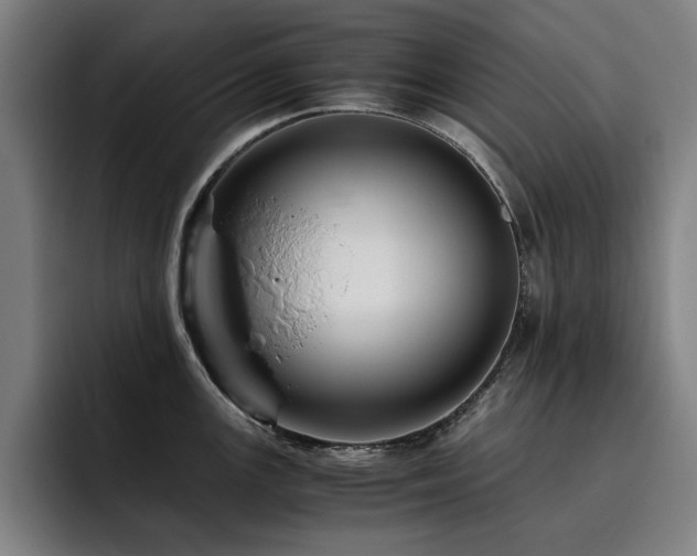 X0000093511147200710121527