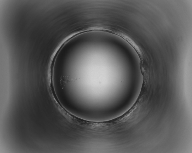 X0000093511148200710121527