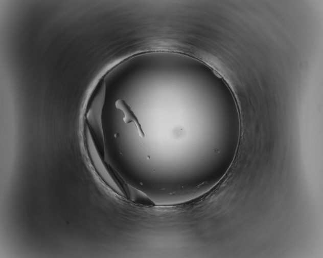 X0000093511152200710121527